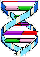 DNA.jpg (8562 bytes)